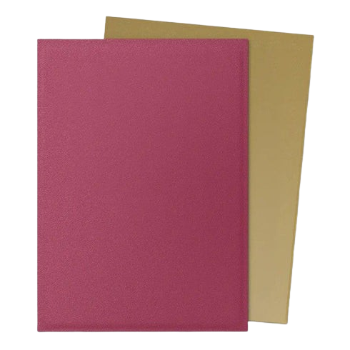 Dragon Shield - Standard - Dual Matte Sleeves (100)