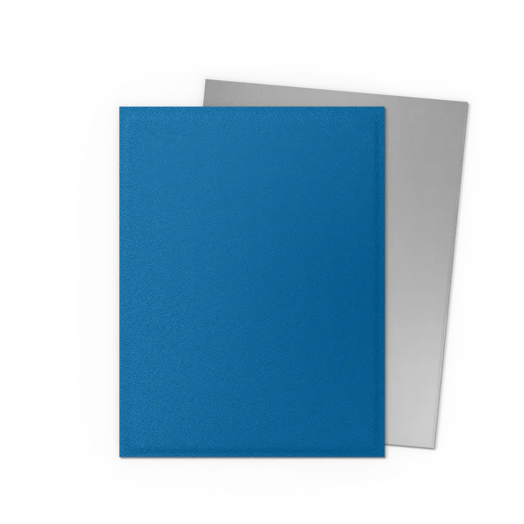 Dragon Shield - Standard - Dual Matte Sleeves (100)