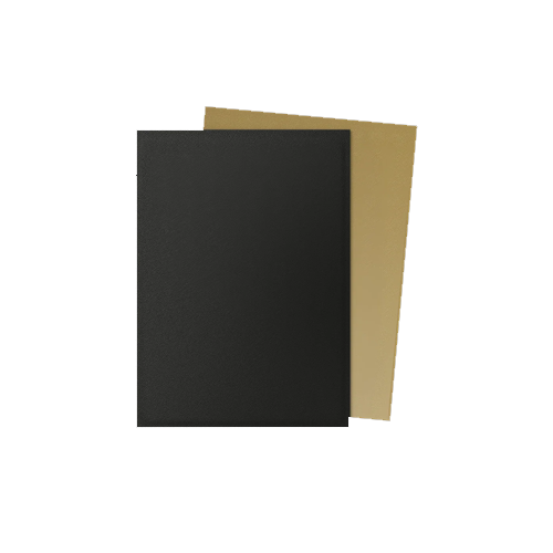 Dragon Shield - Standard - Dual Matte Sleeves (100)