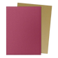 Dragon Shield - Standard - Dual Matte Sleeves (100)