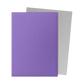 Dragon Shield - Standard - Dual Matte Sleeves (100)
