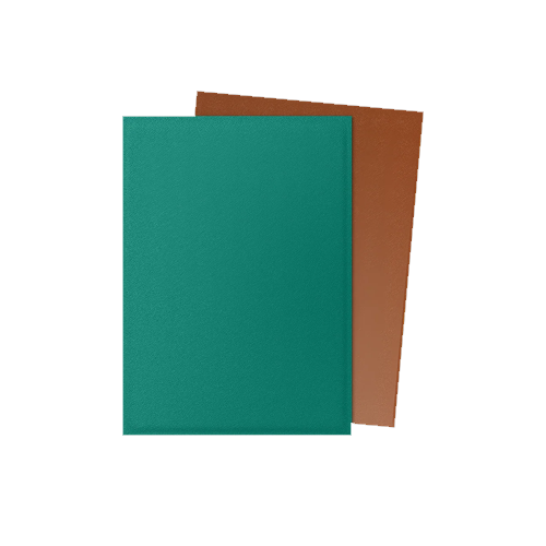 Dragon Shield - Standard - Dual Matte Sleeves (100)