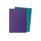 Dragon Shield - Standard - Dual Matte Sleeves (100)