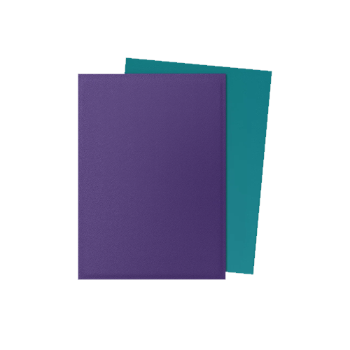 Dragon Shield - Standard - Dual Matte Sleeves (100)